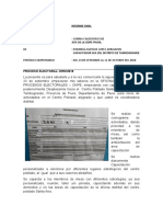 Informe FINAL PARA YANINA - ERM - 2018 - MATTY-1