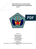 Laporan Praktikum Uji Coba Enzim Katalas