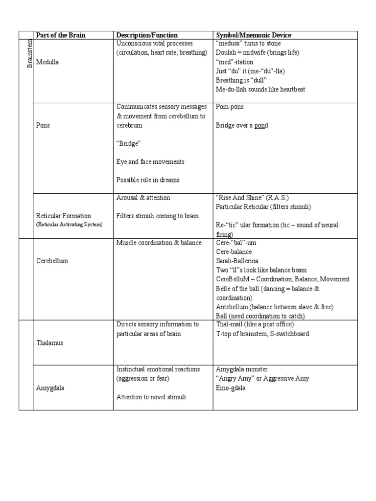 Mnemonic intelligence overview