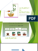 Las Partes de Las Plantas 1