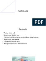 6nucleic Acids (INS)