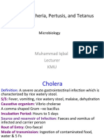 Cholera, D,P,T-1
