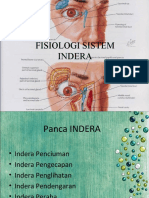 258117602 Fisiologi Sistem Indera