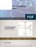 MC2 Lec11 Catabolic Pathways