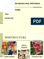 Hortikultura