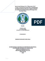 Asuhan Keperawatan Keluarga Tn. e Khususnya Ny.b Di Desa Bassiang Timur (Nurul Ilmi, Po713201181040)