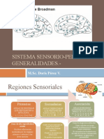 Sistema Senso-Perceptivo