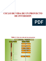 Ciclo Del Proyecto