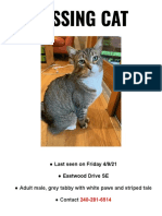Find Missing Grey Tabby Cat Eastwood Drive