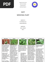 NSTP Medicinal Plant