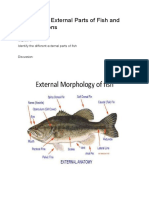 LESSON II: External Parts of Fish and Their Functions