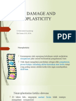 03 Neuroplastisitas Otak