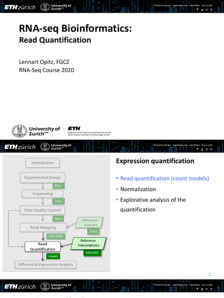 4 RNAseq-Quantification LO | PDF | Gene Expression | Computational Biology