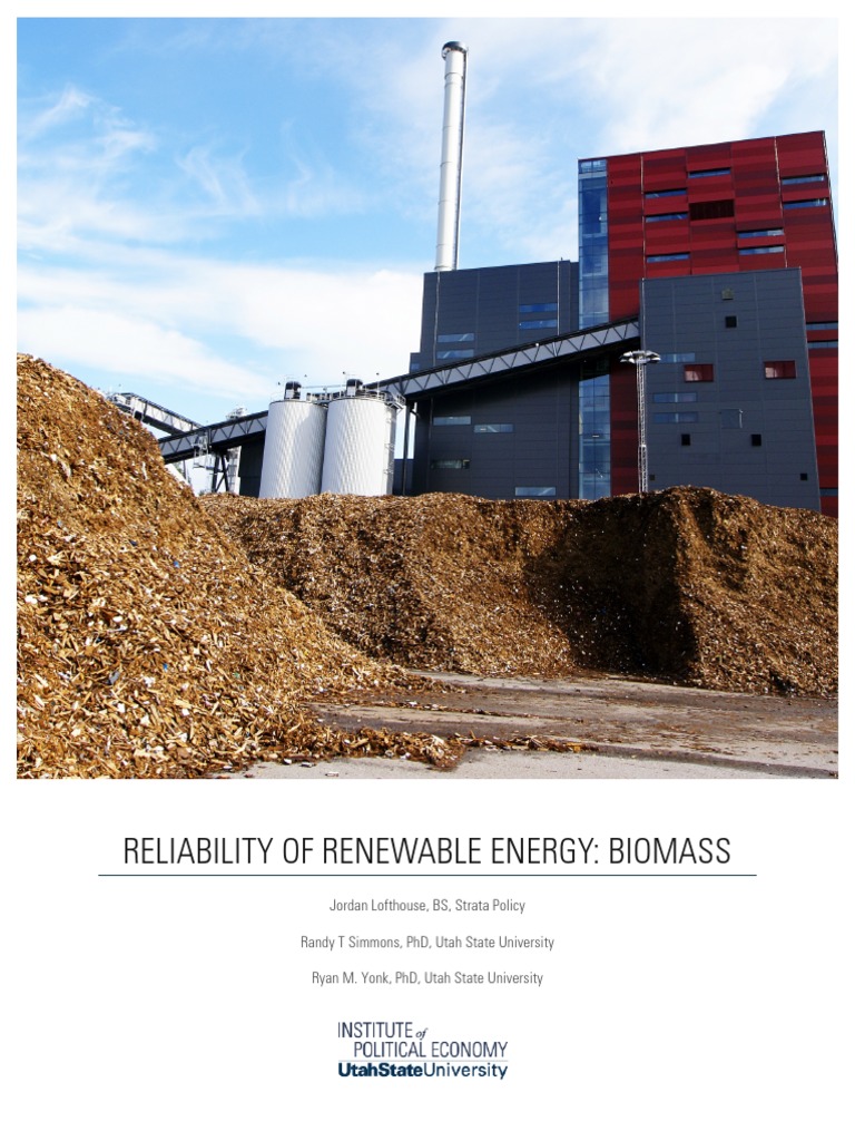 Reliability of Renewable Energy: Biomass | PDF | Biomass | Biofuel