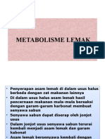Vi. Metabolisme Lemak
