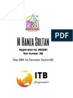 M Hamza Sultan (30-B) ITB Assignment