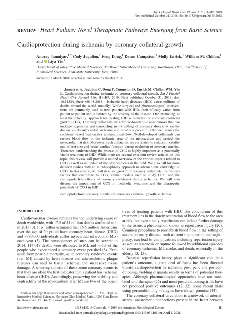 Cardioprotection During Ischemia by Coronary Collateral Growth | PDF ...