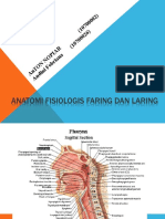 Anatomi Faring Dan Laring