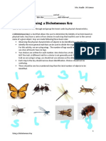 Kami Export - Ethan Johnson - Using A Dichotomous Key