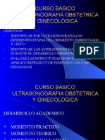 Curso Basico de Ultrasonografia Obstetricia y Ginecologica