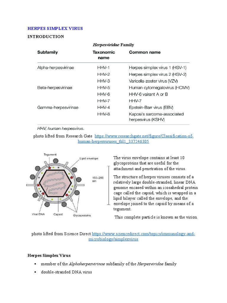 HSV Biology and Pathophysiology | PDF | Herpes Simplex | Virology