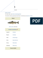 Salmon: Jump To Navigation Jump To Search