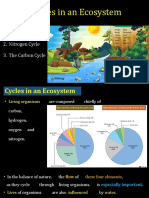 Cycles in An Ecosystem