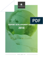 Rapport DD GBP - 2018