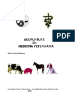 Acupuntura veterinaria antigua