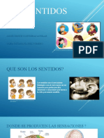 Diapositivas LOS SENTIDOS
