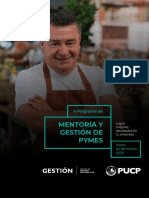 Brochure Mentoria y Gestion de Pymes