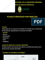 Plagas forestales insectos