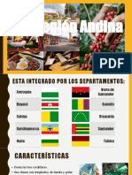 Región Andina Diapositivas
