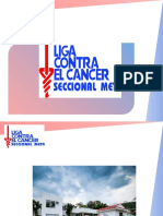 programa de induccion LIGA CONTRA EL CANCER SECCIONAL META