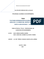 Factores Determinantes de Desnutricion en Niños de 6 A 36 Meses