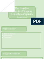 The Negative Aspects of Keeping Animals in Captivity
