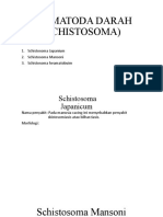 Trematoda Darah (Schistosoma)