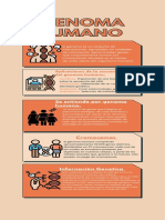 Infografía Genoma