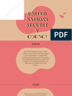 United Nations Securit Y Counci L