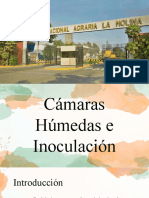 Cámaras Húmedas e Inoculación