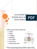 Anatomi Dan Fisiologi Pencernaan