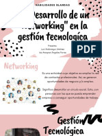 Expo. Desarrollo de Un Networking