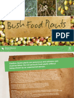 Aboriginal Bush Foods Identification Cards Gen