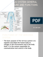 Nervous System