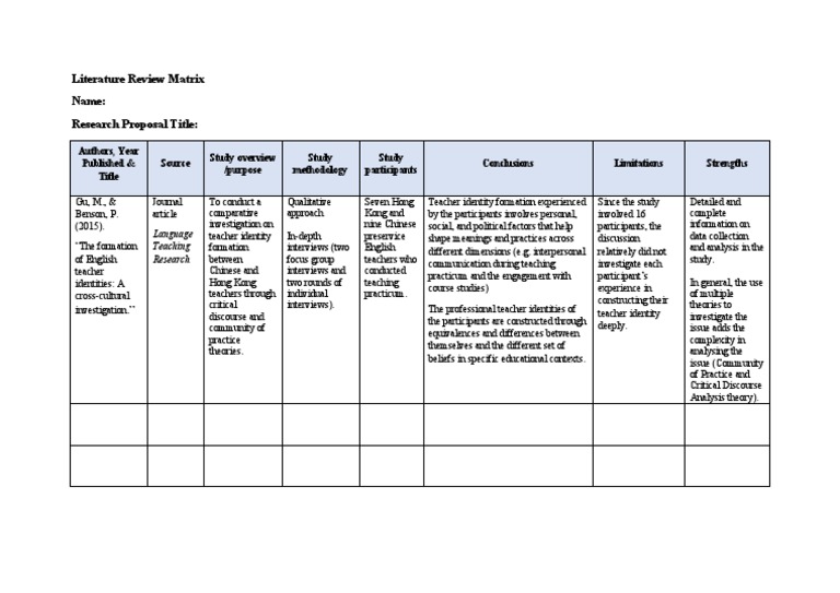 what is a matrix in a literature review