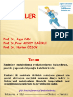 Enzimler 2019 Prof DR Ayşe CAN