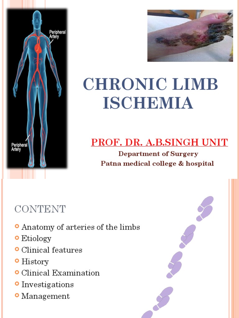 Chronic Limb Ischemia: Prof. Dr. A.B.Singh Unit | PDF | Ischemia ...