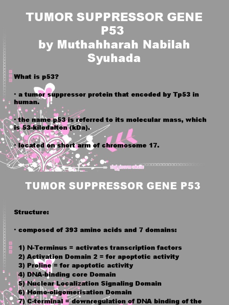 Understanding the p53 Tumor Suppressor Gene | PDF | Self-Improvement ...