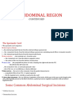 Abdominal Region Part 2