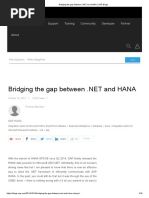 Bridge The Gape of .Net With HANA